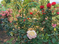 -国家植物园南园