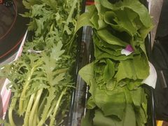 -刘一锅筋头巴脑(小北店)