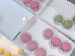-COVA(平安金融中心店)