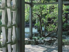-杭州植物园