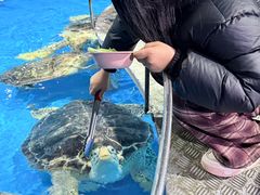 -泉城欧乐堡海洋极地世界