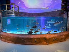 -沈阳海洋探索中心