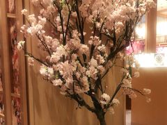 -胜博殿日式炸猪排(悠唐店)