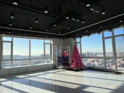 -泽舞·国际流行舞