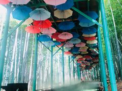 -陶祖圣境风景区