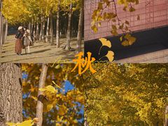 -武汉市民之家