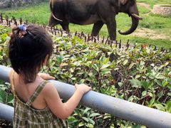 -西安秦岭野生动物园