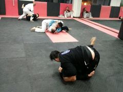 -金翼跆拳道巴西柔术拳击格斗学院