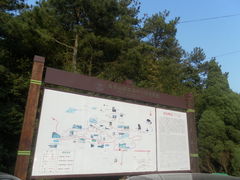-玉苍山国家森林公园