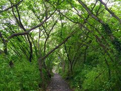 -白马涧龙池景区