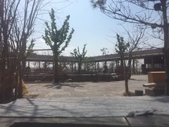 -大顶子山温泉旅游区