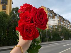 -双喜农庄·菌香园(安居家园店)