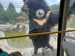 -栾川竹海野生动物园