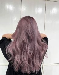 -环球蝶上美业连锁