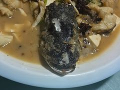 -煲来饱去冷水鱼