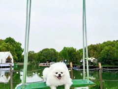 -暮谷MUGO ·团建聚会·露营烧烤·生日派对·共享菜地