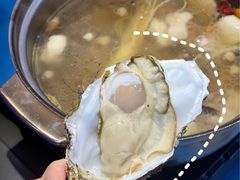 -千岛蚝高压锅生蚝·人参火锅(白云万达店)