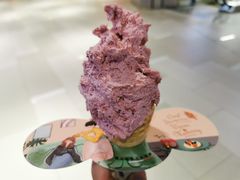 -野人先生现做冰淇淋(北京环宇荟店)