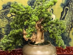 包房-钦善斋(武侯祠店)