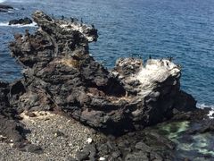 -龙头岩(Dragon Head Rock)