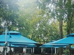 -王家渡火锅(三苏祠店)
