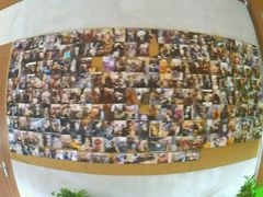 -百好乐宠物友好餐厅(朝外大街店)