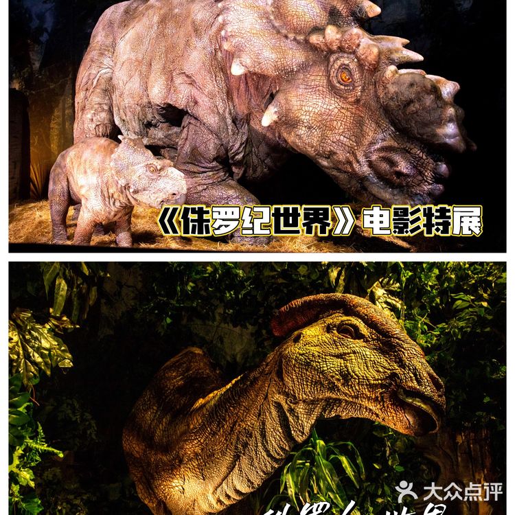 恐龙来啦🦕侏罗纪世界电影特展登陆魔都🦖燃爆了💥