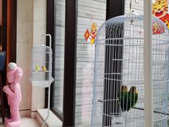 -上海崇明金茂凯悦酒店