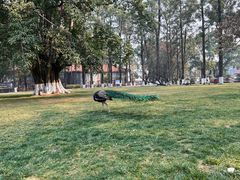 -西昌邛海宾馆