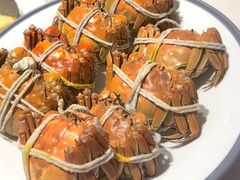 -杨氏青龙虾·羊蝎子(托乐嘉店)