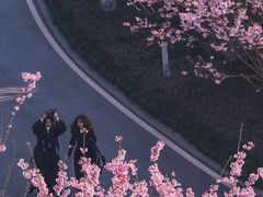 -重庆园博园