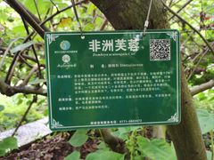 -广西壮族自治区药用植物园