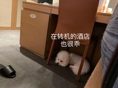 -韩亚航空(주)