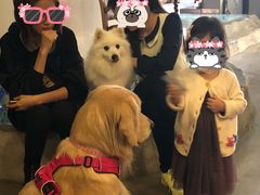 -百好乐宠物友好餐厅(朝外大街店)