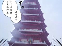 -芜湖方特旅游度假区
