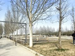 -北京群众马术培训基地