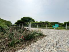 -嘉北郊野公园