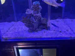 -太平洋海底世界