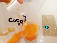 -CoCo都可(芙蓉天虹店)