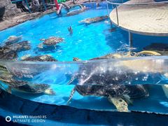 -泉城欧乐堡海洋极地世界