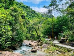 -广州白江湖森林公园