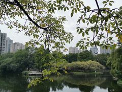-晓港公园
