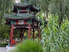 -中国农业博物馆