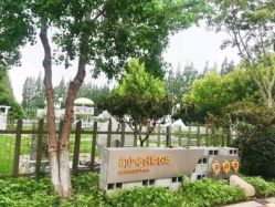 -前小桔亲子创意农场·草莓采摘·露营烧烤