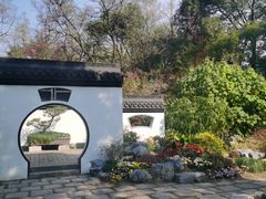 -上海滨江森林公园