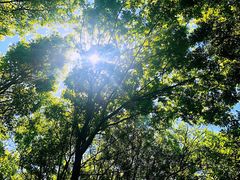 -长白岛森林公园