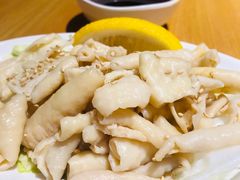 -霸吗拉面