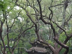 -古韵餐厅(湖畔大学店)