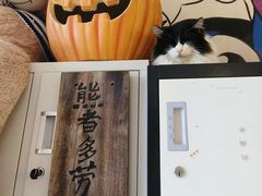-平行世界·猫咖(首经贸店)