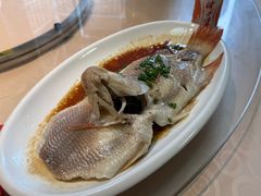 -年辉渔村·非遗传承餐厅(新丰江店)
